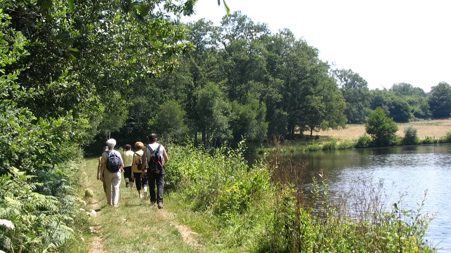 Sentier de randonnée, passage chaussée de l'étang de Chenevières_1
