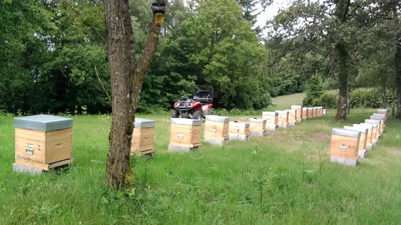 Visite au Rucher de La Vauzelle