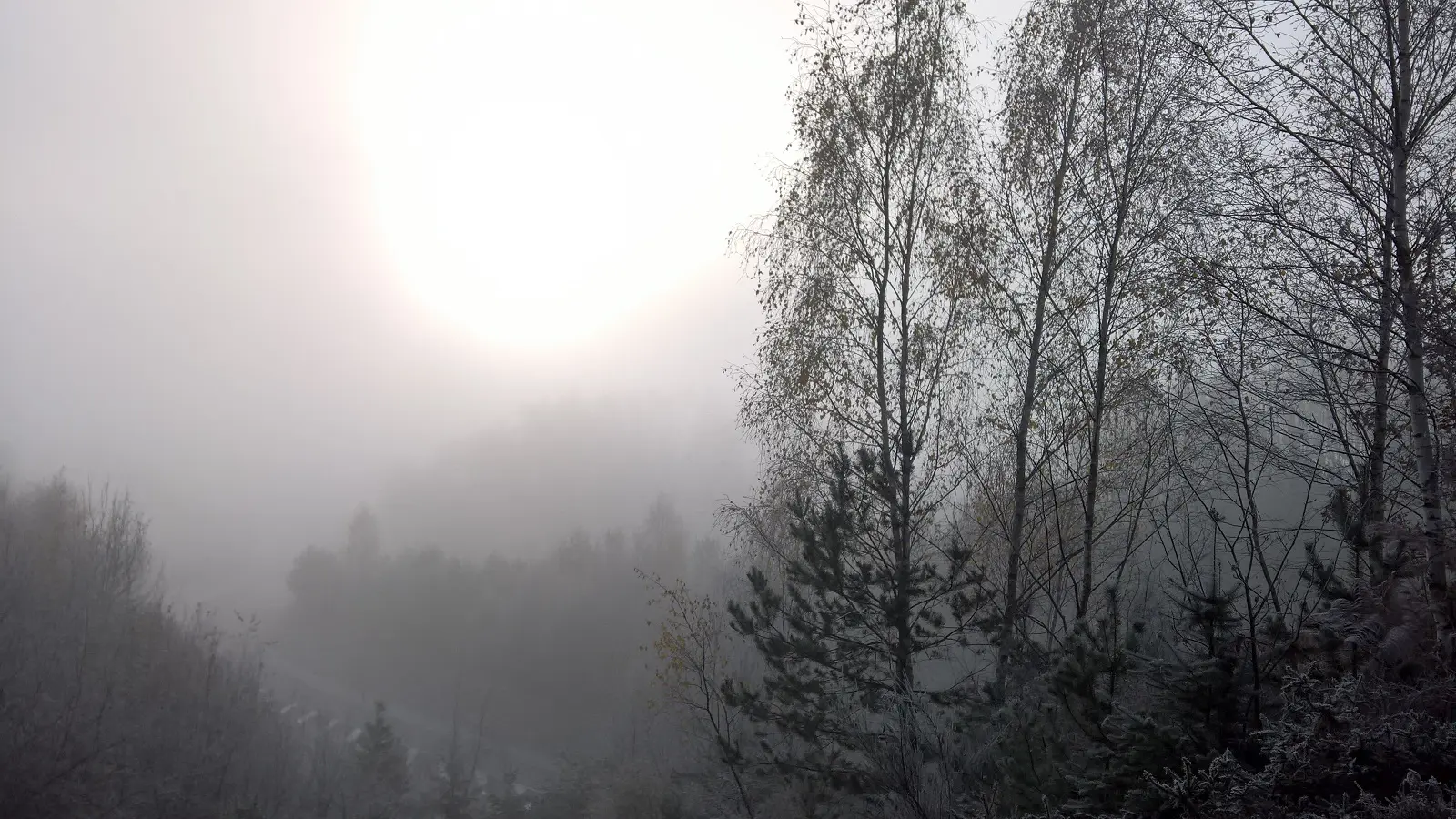 Base Uni'Vert Trail des Monts d'Ambazac - Le sentier de l'Ermite_1