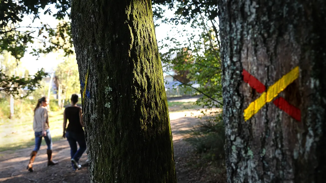 Base Uni'Vert Trail des Monts d'Ambazac - Le sentier de l'Ermite_3