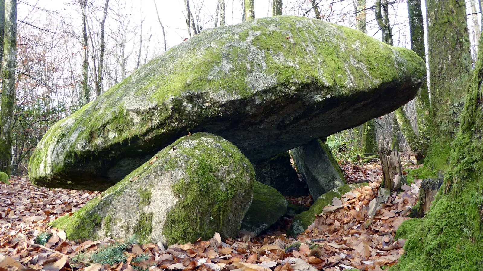 Base Uni'Vert Trail des Monts d'Ambazac - Le sentier du dolmen_2