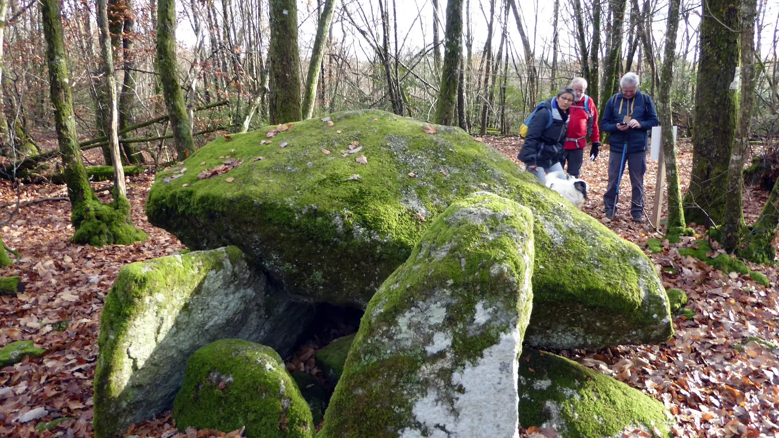 Base Uni'Vert Trail des Monts d'Ambazac - Le sentier du dolmen_3