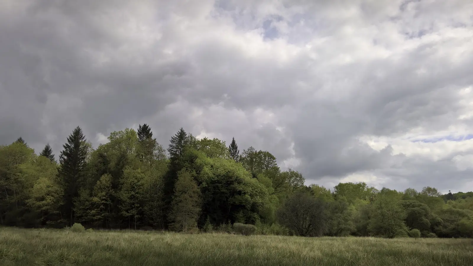 Base Uni'Vert Trail des Monts d'Ambazac - Le sentier des Puys_1