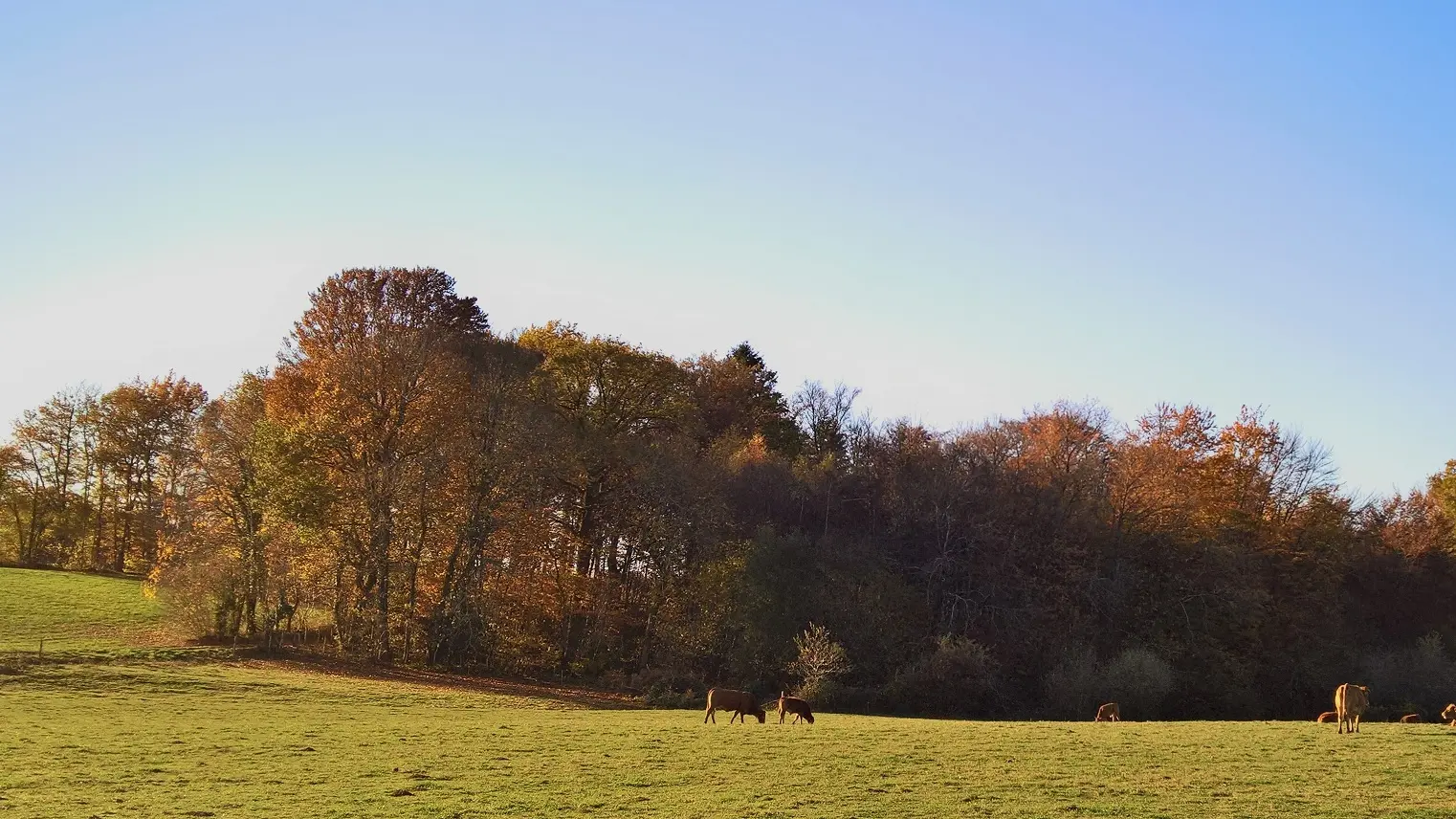 Base Uni'Vert Trail des Monts d'Ambazac - Le sentier des Puys_3