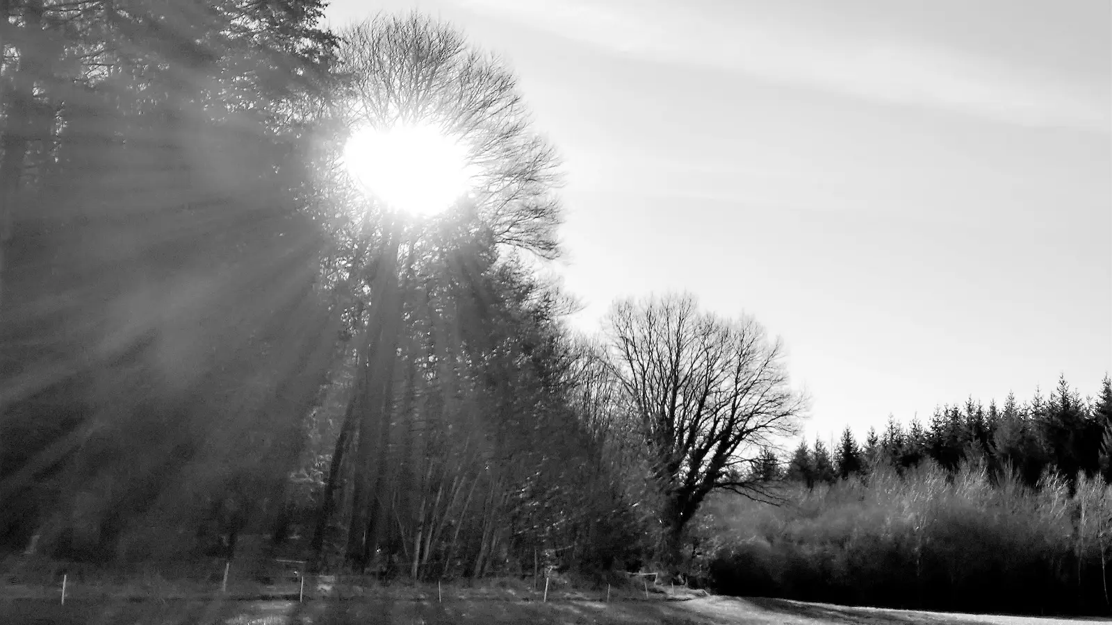 Base Uni'Vert Trail des Monts d'Ambazac - Le sentier des bonshommes_1