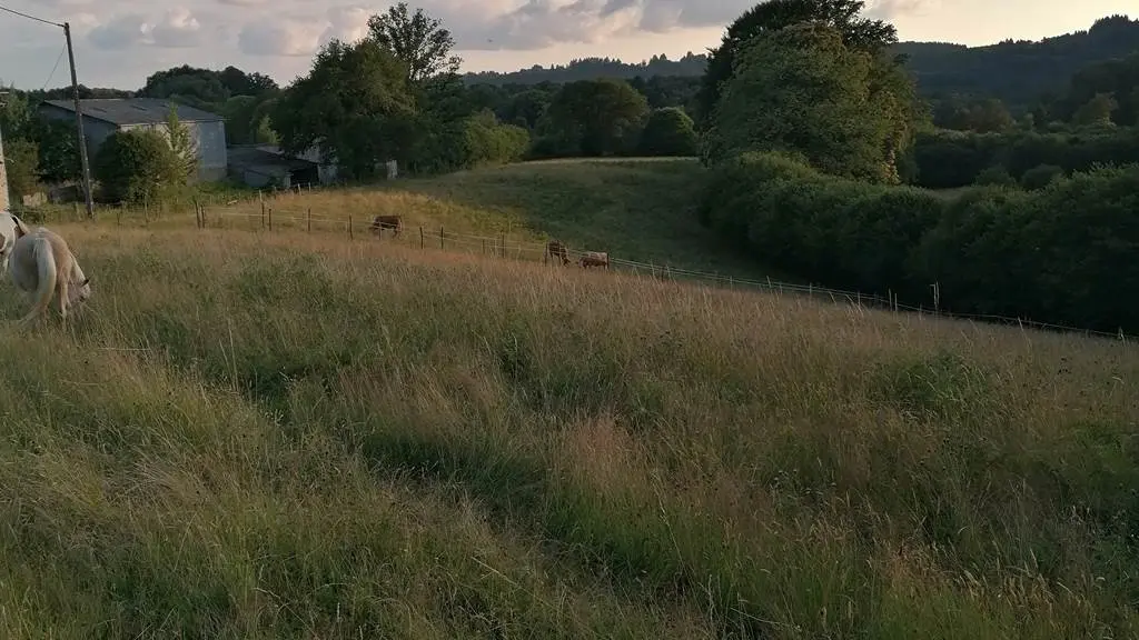 Meublé de tourisme de la Chevêche_8