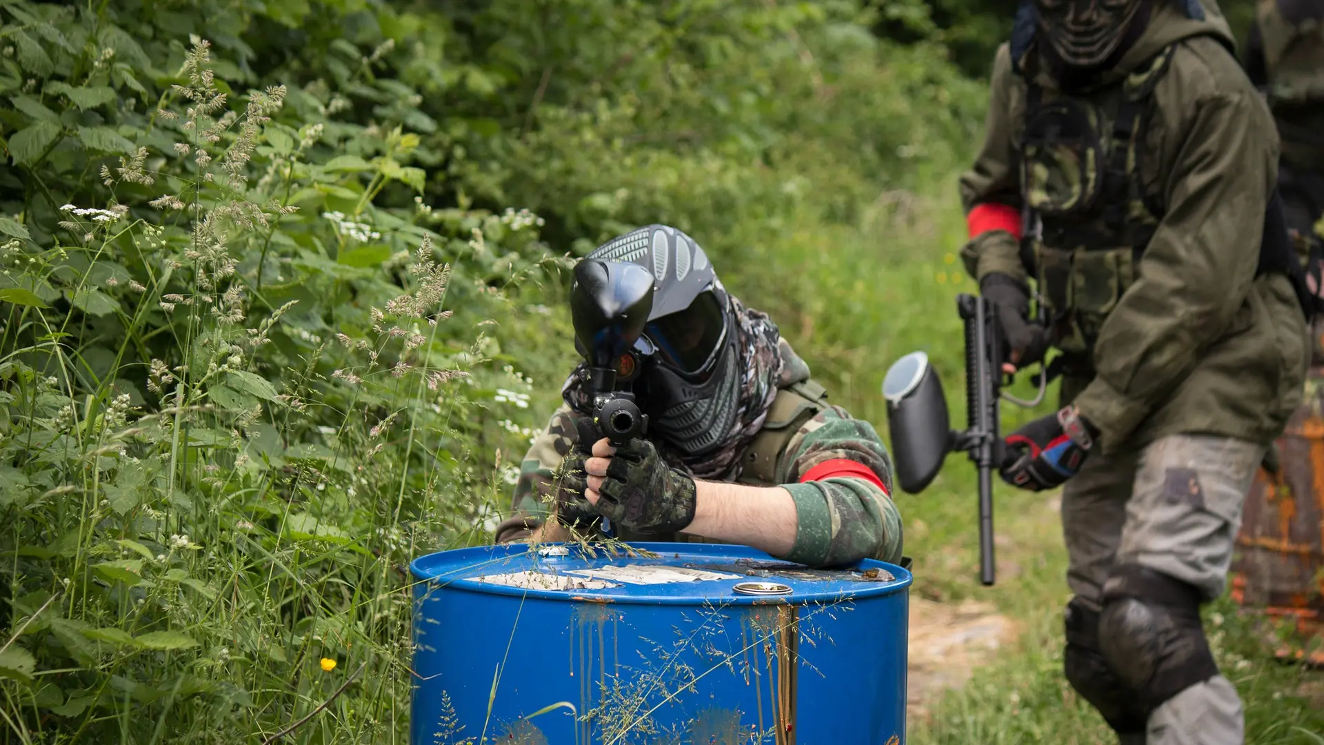 Limousin Paintball_1