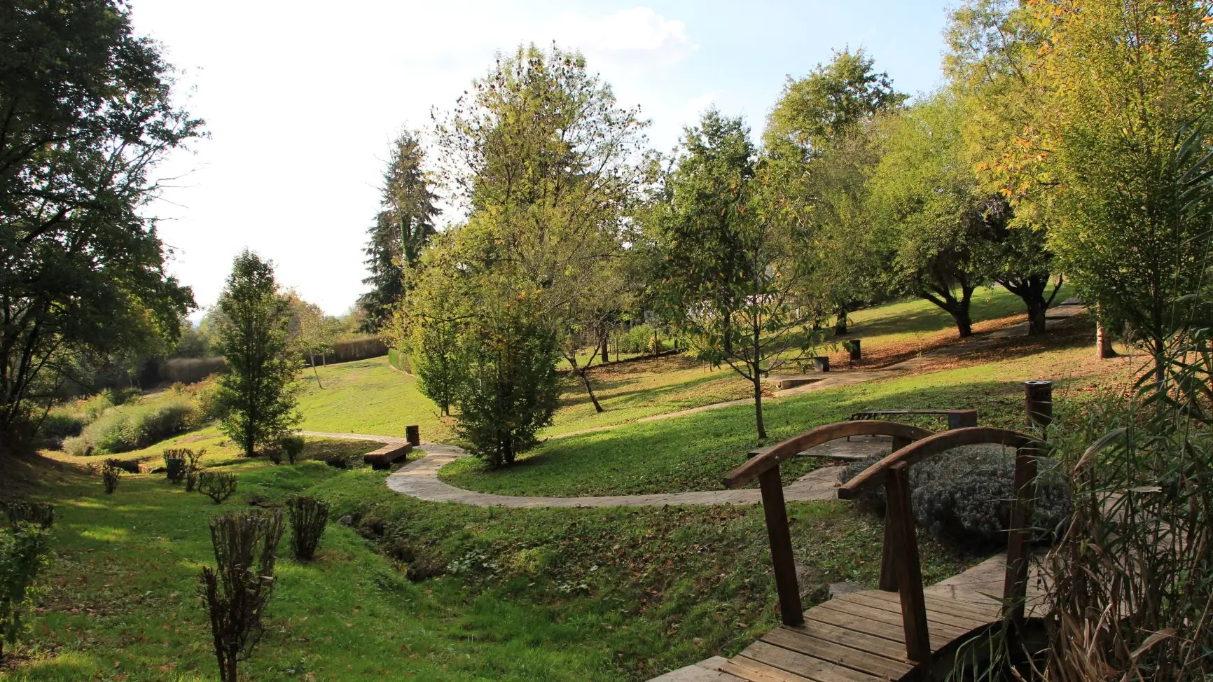 Parc à Saillat-sur-Vienne_2