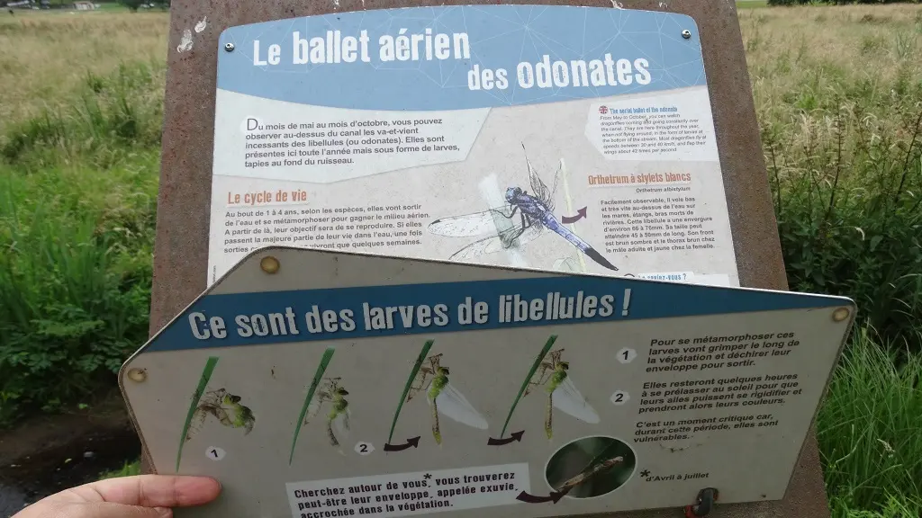 Sentier d'interprétation de l'étang_4