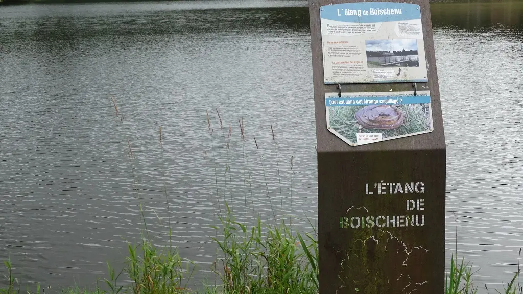 Sentier d'interprétation de l'étang_5