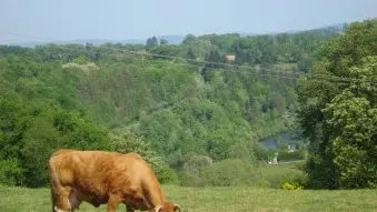 La Ferme du Bas Château_1