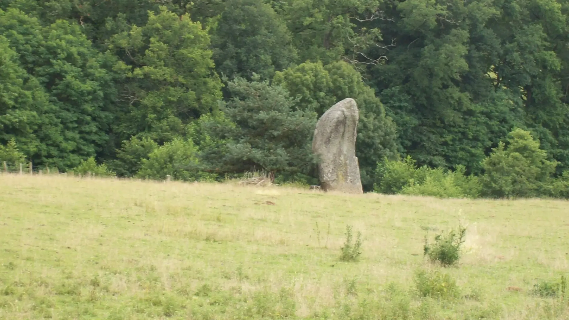 Menhirs du Métayer_1