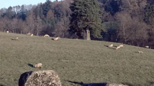 Menhirs du Métayer_3