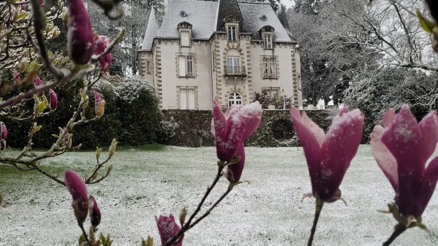 Chambre d'hôtes Château Maleplane_2