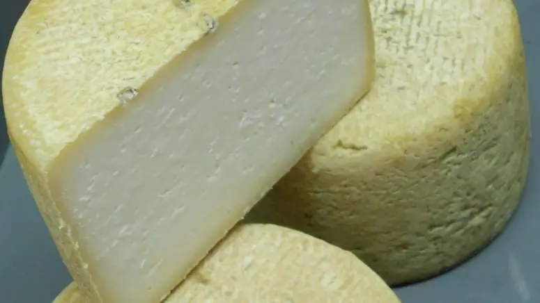 Fromages de chèvre de la Ferme de Fantouillet_7