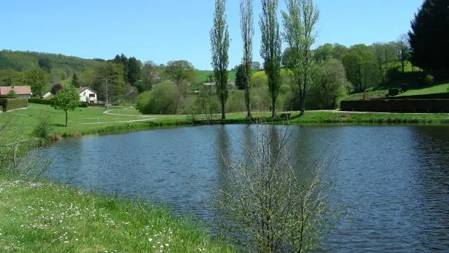 Etang de pêche de Fressengeas_1