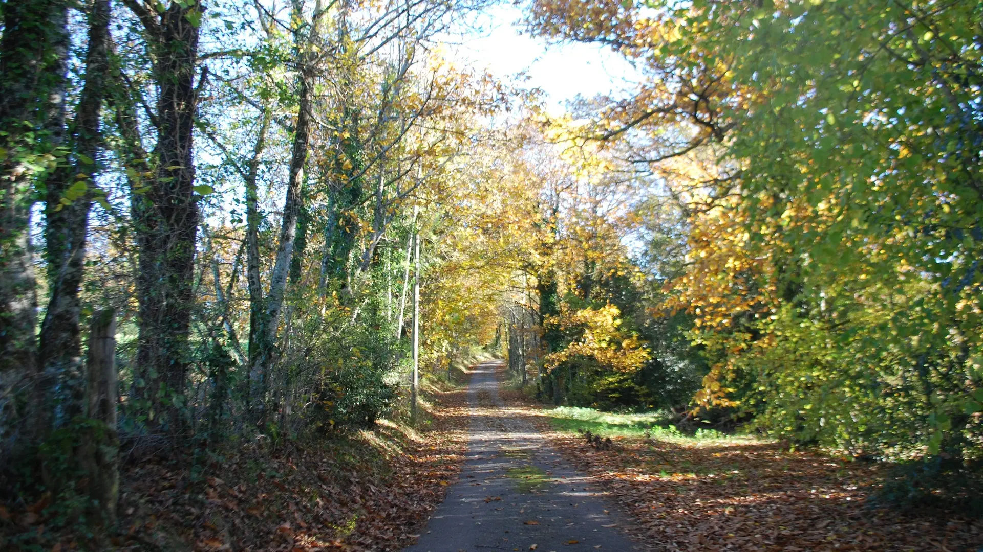 Chambres d’hôtes Référence Maison du Masjoubert_7