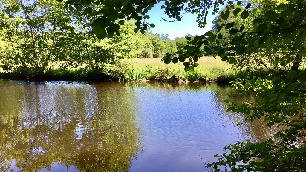 La Vienne à Nedde_2