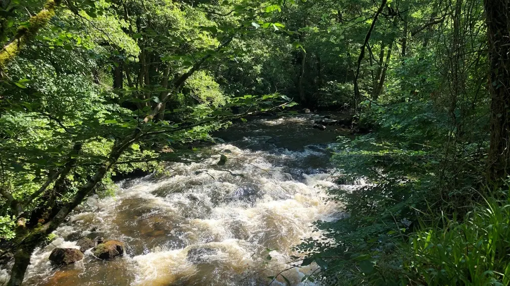 Les Gorges de la Vienne_3