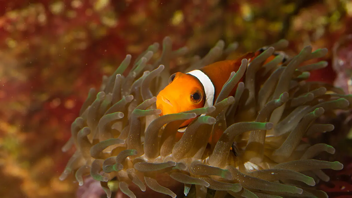 Aquarium du Limousin_4