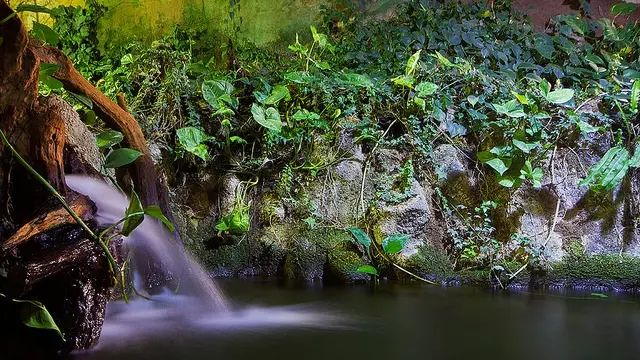 Aquarium du Limousin_5