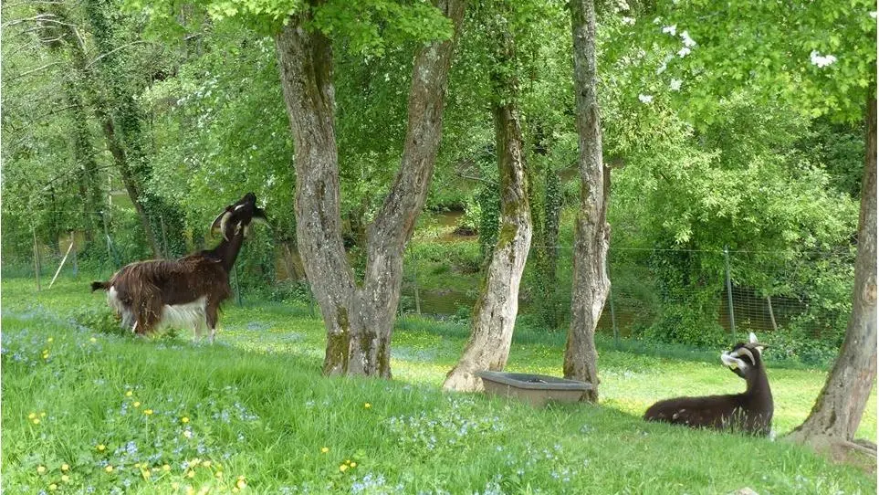 Parc de l'Aurence_4