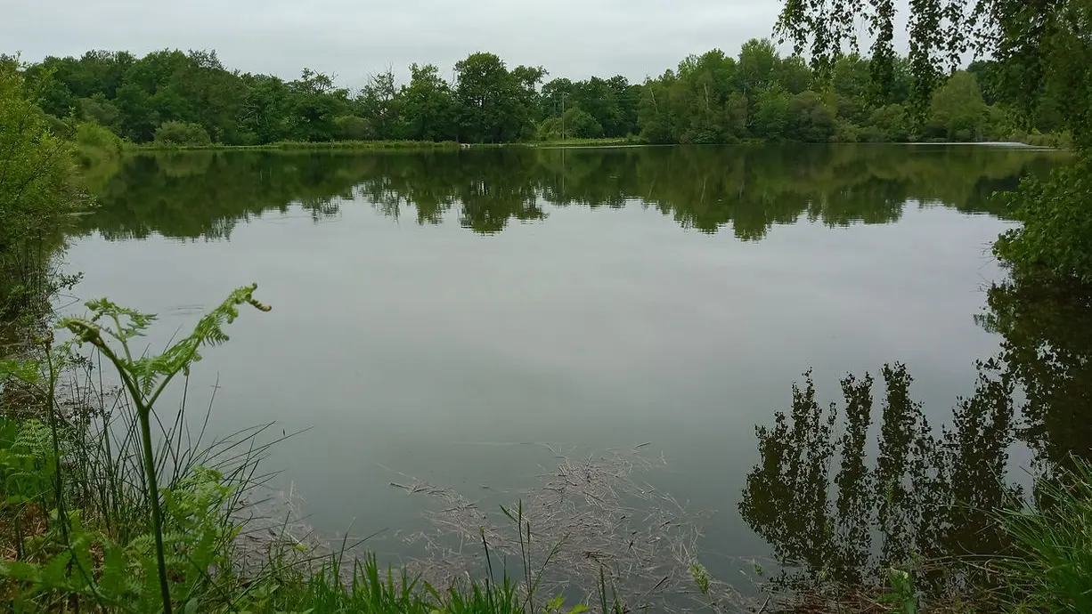 Etang de pêche de Peyrilhac_2