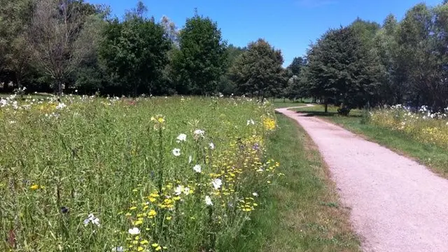 Jardin en Mouvement - Promenade Gilles Clément_1