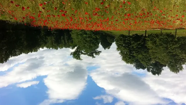 Jardin en Mouvement - Promenade Gilles Clément_2