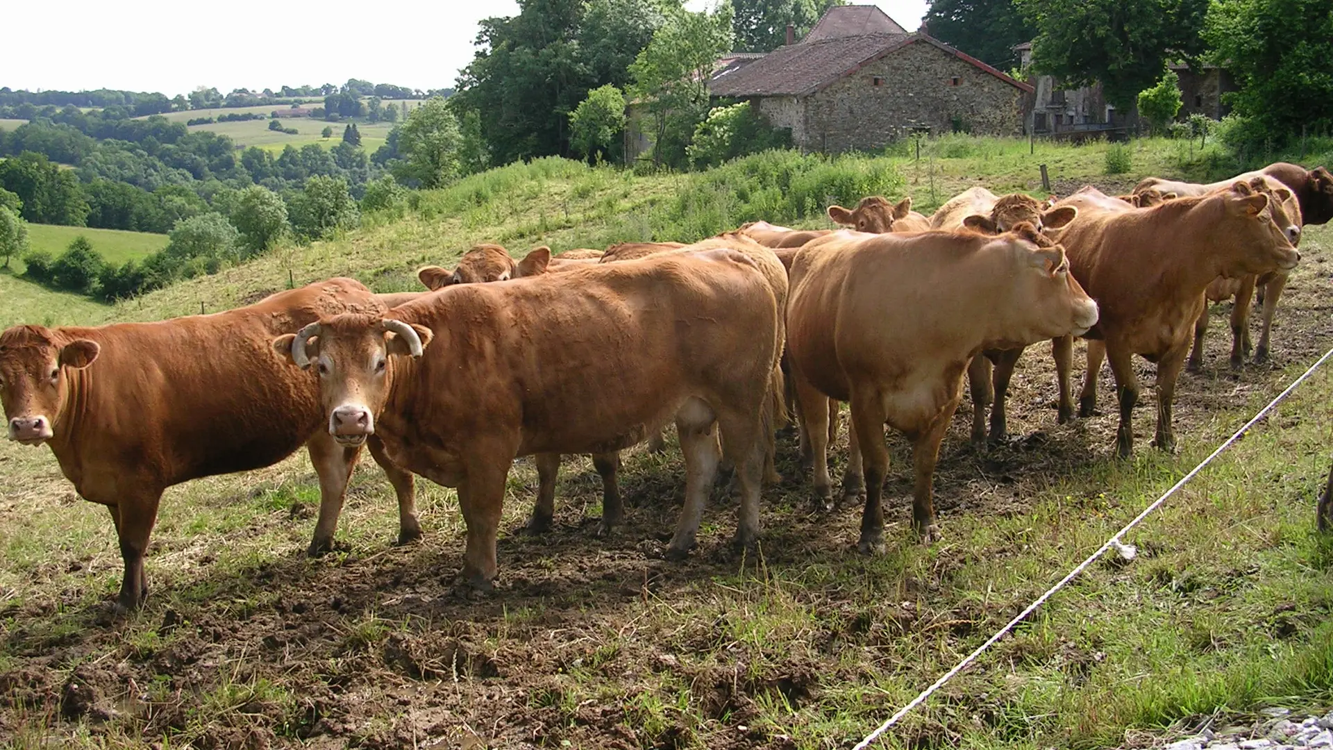 Circuit des écureuils_2