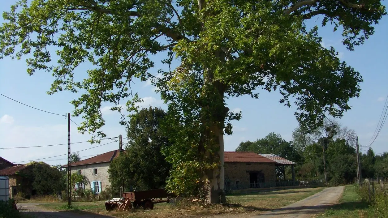 Circuit Les hauts de Beynac_1