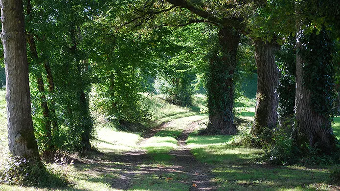 La Boucle de Bosmie l'Aiguille - Circuit n°3 Val de Vienne Tour_1