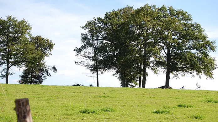 La Boucle d'Aixe-sur-Vienne - Circuit n°2 Val de Vienne Tour_1