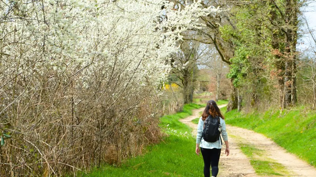 Circuit du Dolmen de la Goupillère