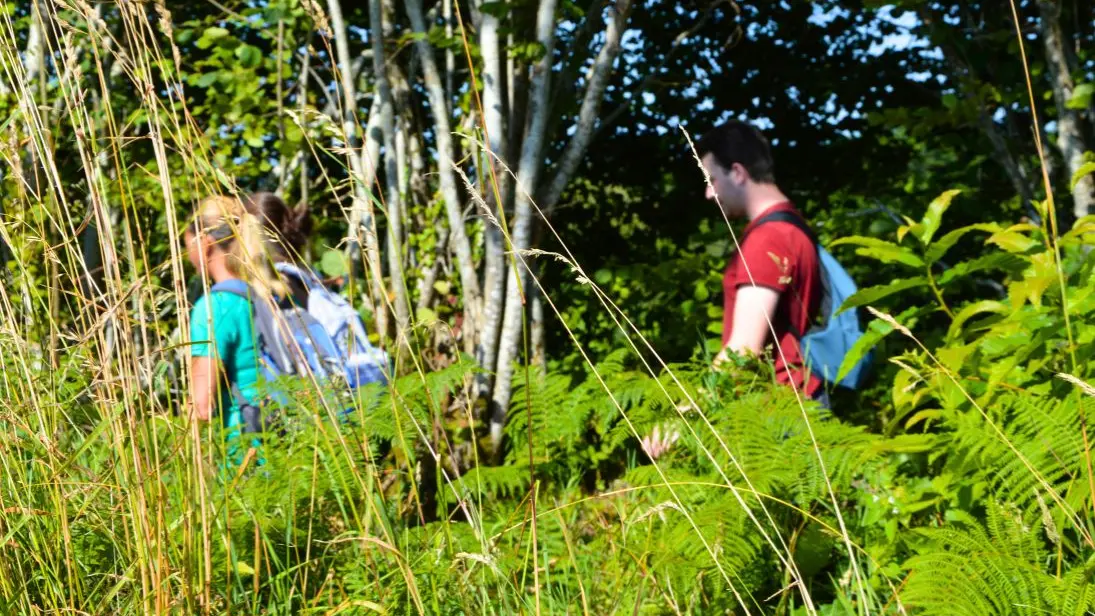 Circuit du Moulichou à Châlus