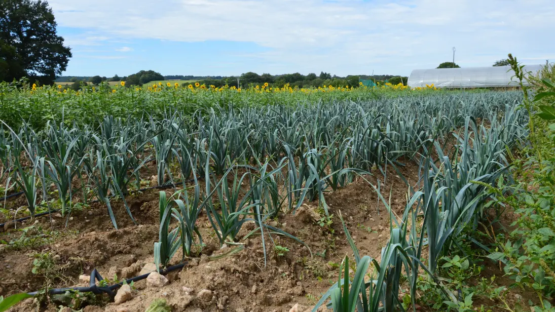 ferme-la-belle-botte-pageas-haute-vienne