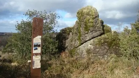 Landes des pierres du mas_1