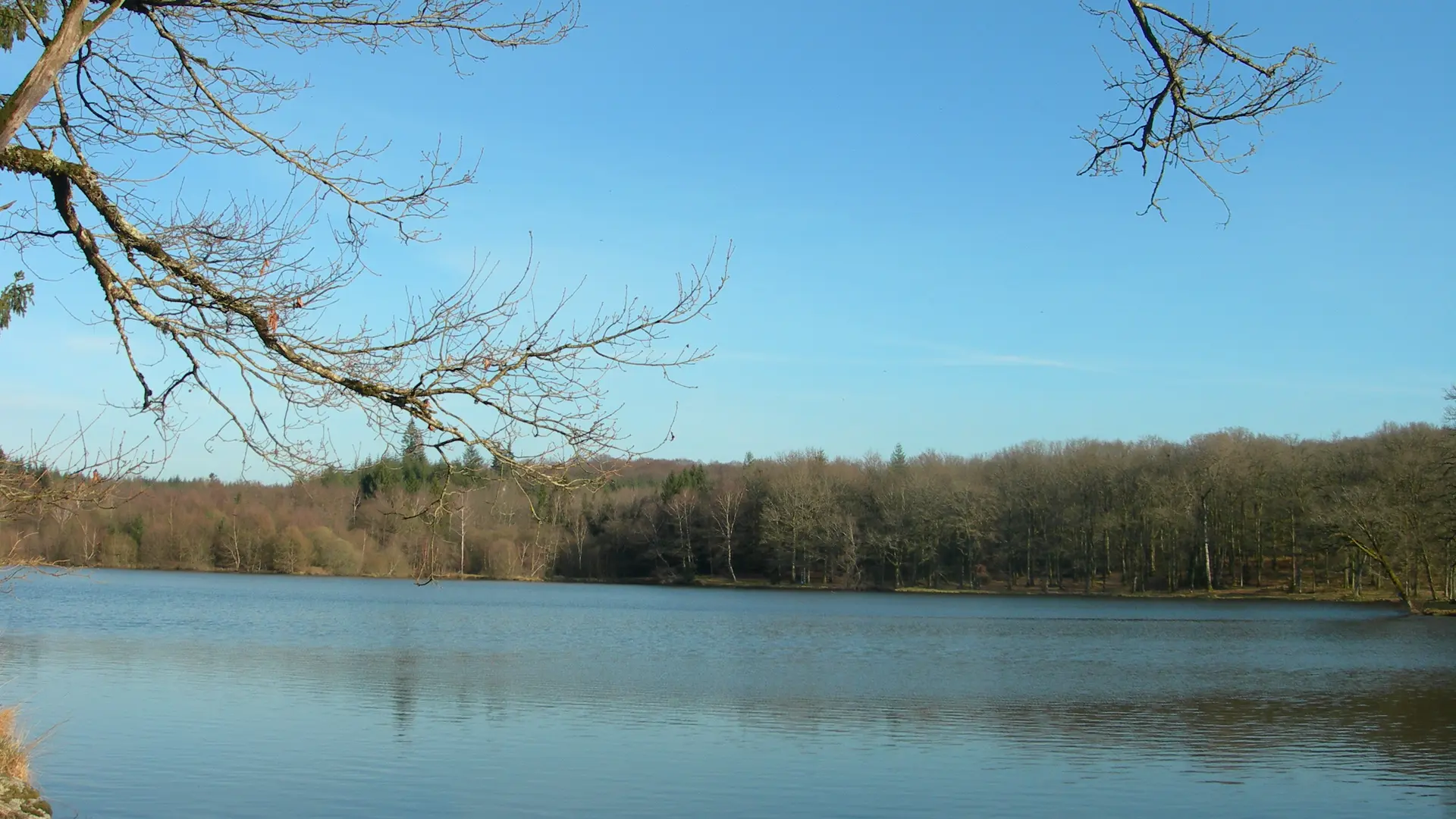 Etang de pêche 'Piquette' La Porcherie_1