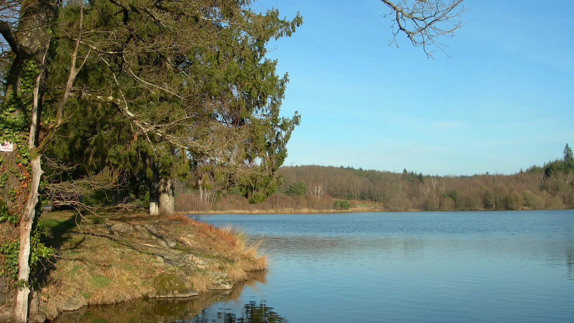 Etang de pêche 'Piquette' La Porcherie_2