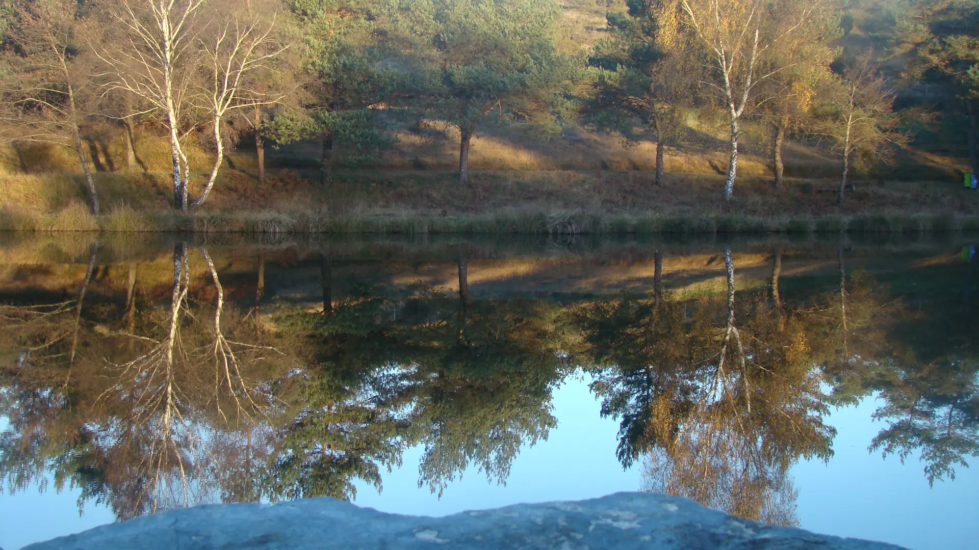 Etang de pêche 'Les Pierres du Mas'  La Porcherie_1