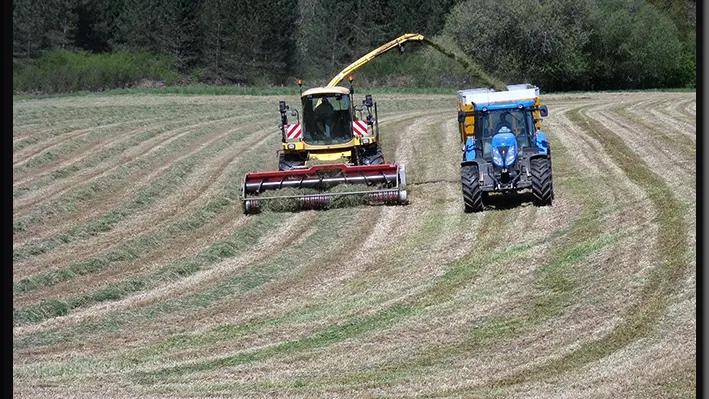 La Ferme des Collet à Vicq-Sur-Breuilh_3