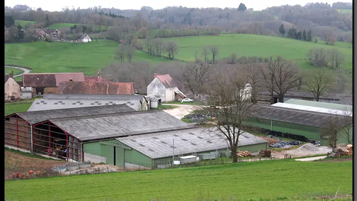 La Ferme des Collet à Vicq-Sur-Breuilh_2