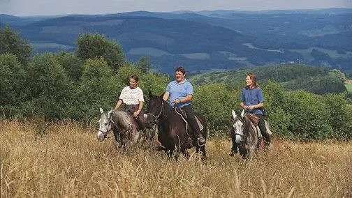 Ferme équestre des Ribières_1