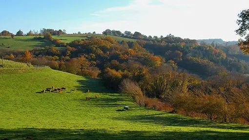 Ferme équestre des Ribières_5