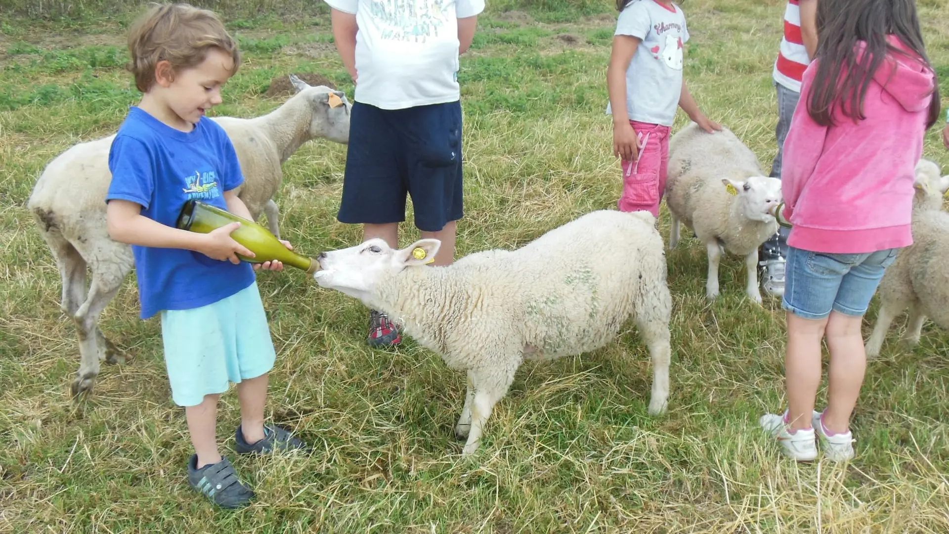 Les sabots de laine à St Hilaire Bonneval_3