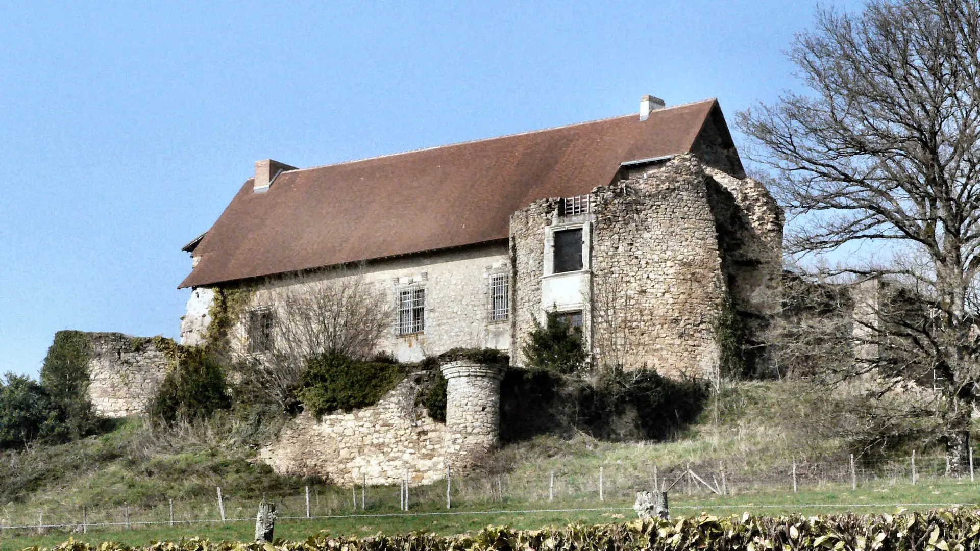 Vieux Château à Vicq sur Breuilh_1