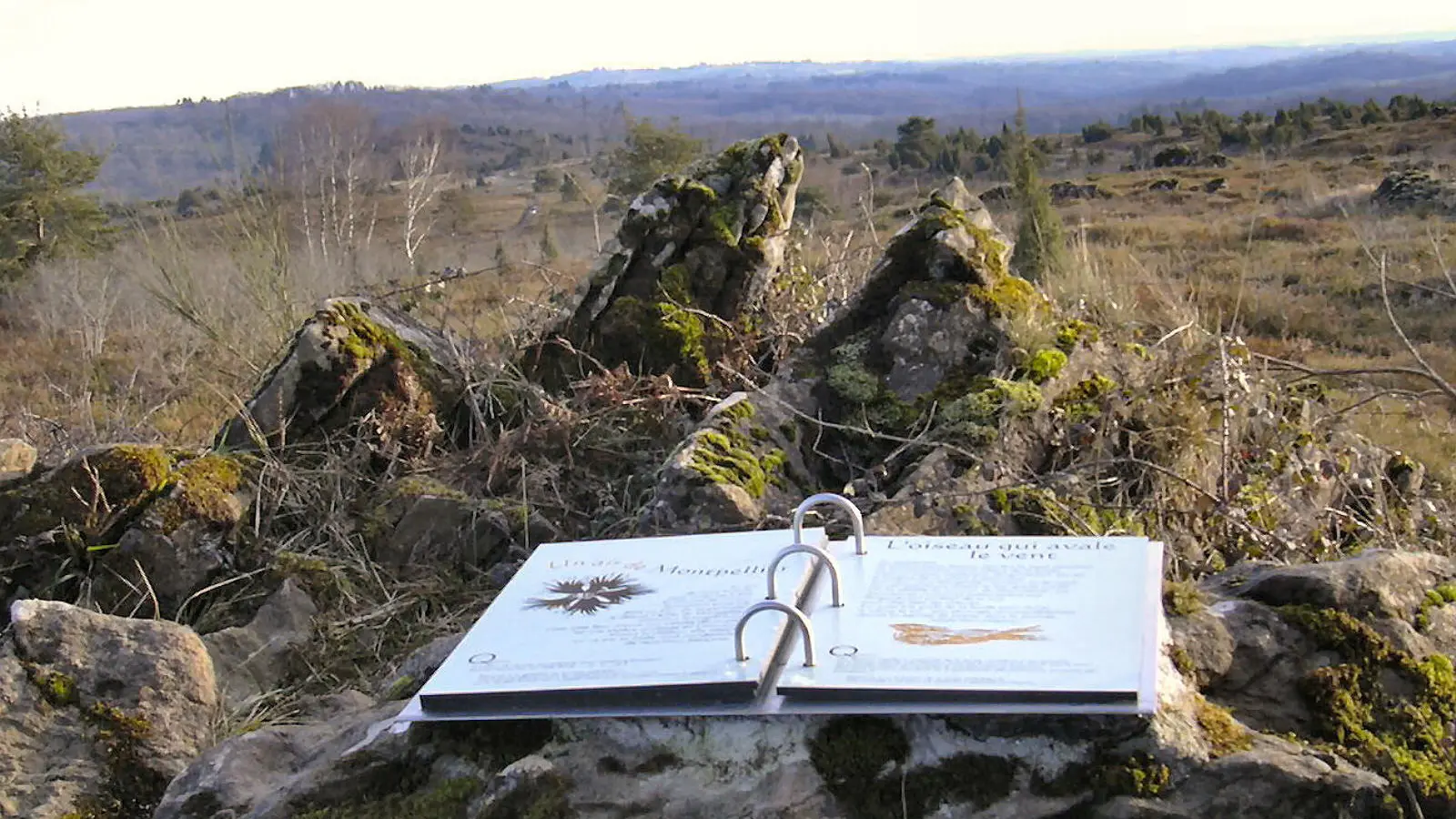 Sentier d'interprétation Landes du Cluzeau et de la Flotte_2