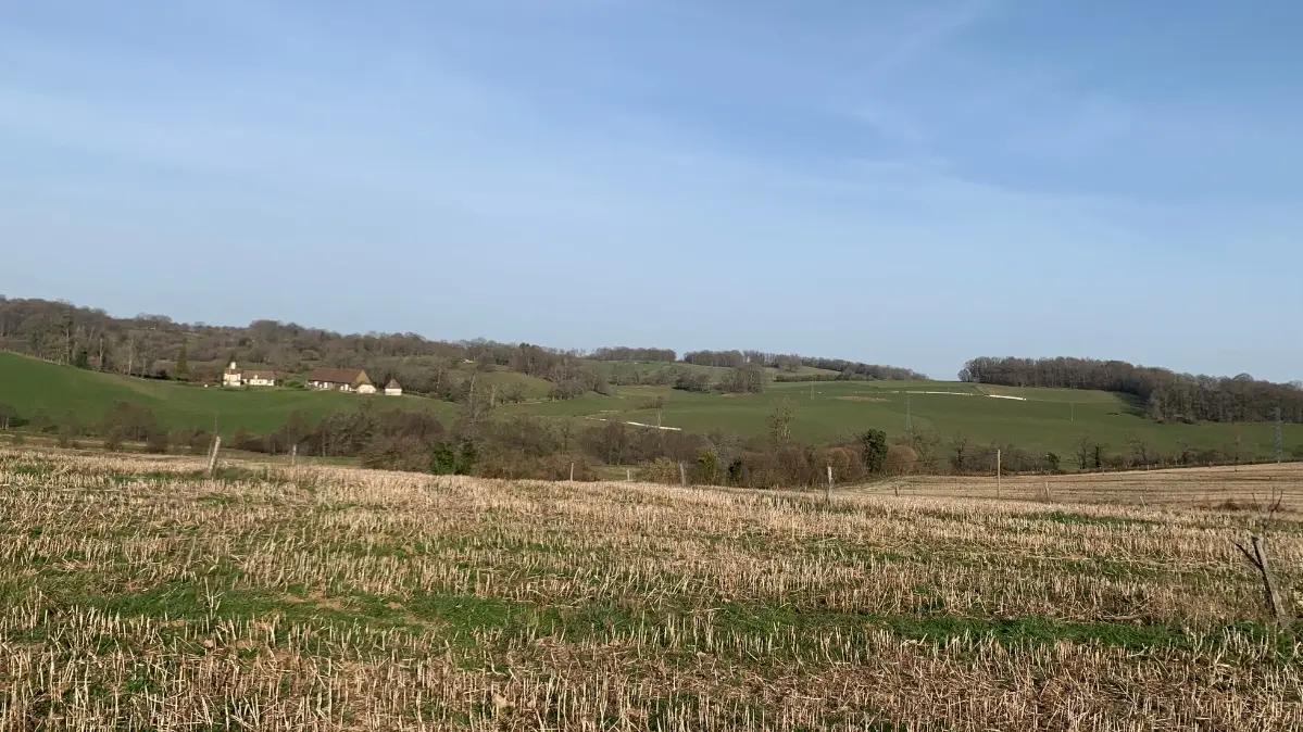 Boucle cyclotouristique La forêt de Meuzac_1