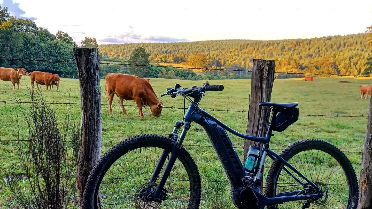 Boucle cyclotouristique Musée Cécile Sabourdy_4