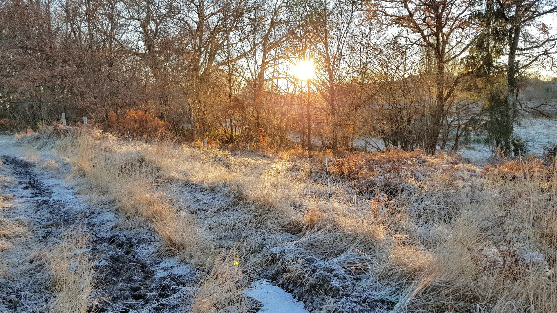 Hiver au Cluzeau